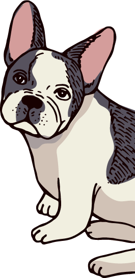 Illustration Chien mascotte